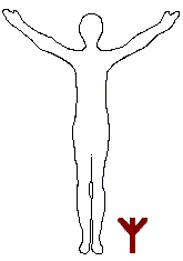 Posizione Yoga - Algiz